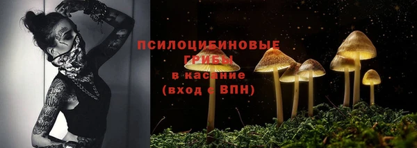 mdma Щигры