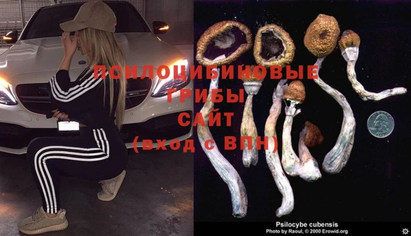 ешки Липки
